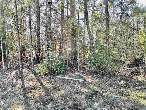 tbd Glory Rd, Quincy, FL 32351 photo 11