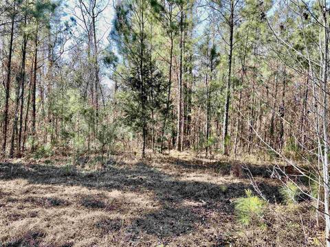 tbd Glory Rd, Quincy, FL 32351 photo 17