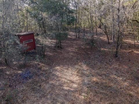 8141 Pretty Pond Ln, Perry, FL 32348 photo 14