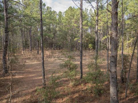 8141 Pretty Pond Ln, Perry, FL 32348 photo 32