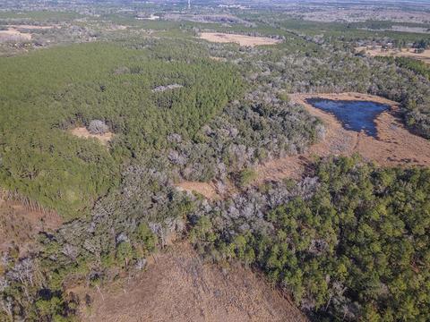 8141 Pretty Pond Ln, Perry, FL 32348 photo 34