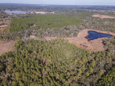 8141 Pretty Pond Ln, Perry, FL 32348 photo 36
