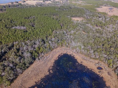8141 Pretty Pond Ln, Perry, FL 32348 photo 35