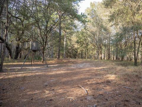 8141 Pretty Pond Ln, Perry, FL 32348 photo 13