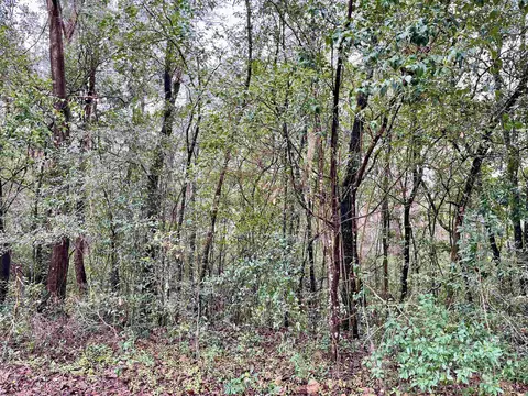Nnnn James Duhard Way, Tallahassee, FL 32308