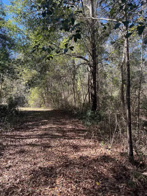 000 Frank Smith Rd, Quincy, FL 32333