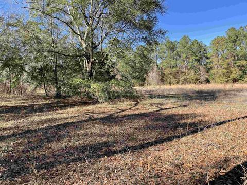 Nnn Friday Road, Quincy, FL 32351