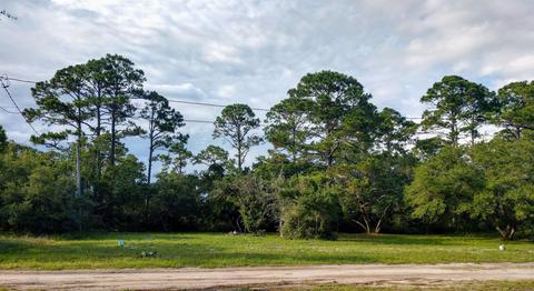 1723 Spacey Dr, Carrabelle, FL 32322 photo 2