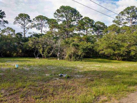 1723 Spacey Dr, Carrabelle, FL 32322 photo 3