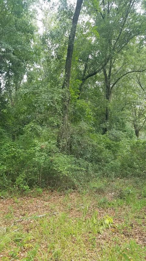 0 Preston Johnson Rd, Tallahassee, FL 32310