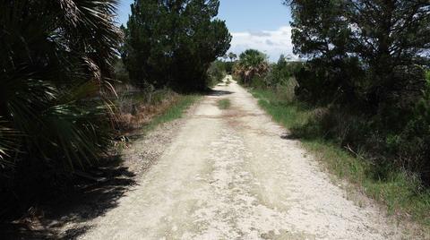 270 Tern Rd, Perry, FL 32348 photo 9