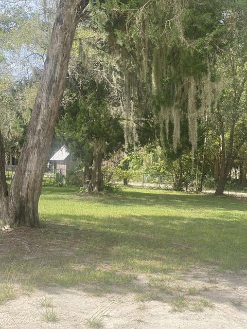 812 NW Third St, Steinhatchee, FL 32359 photo 3