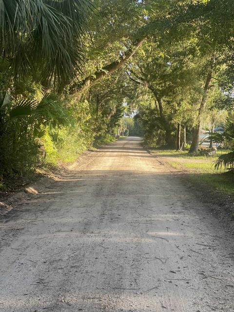 812 NW Third St, Steinhatchee, FL 32359 photo 5