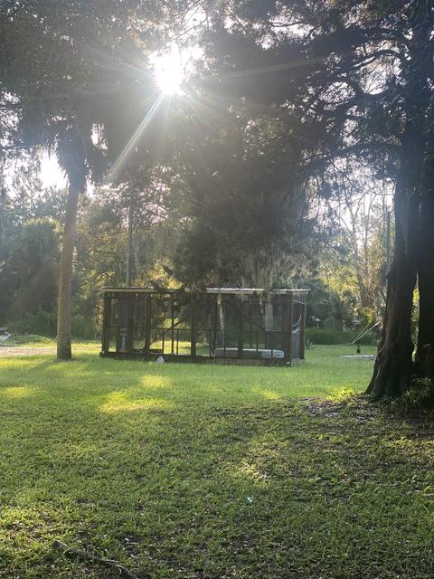 812 NW Third St, Steinhatchee, FL 32359 photo 4