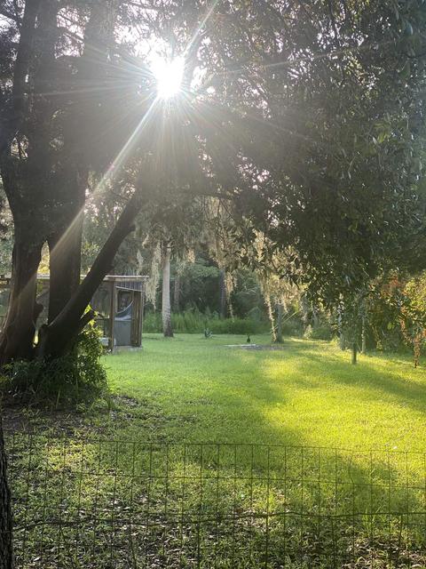 812 NW Third St, Steinhatchee, FL 32359
