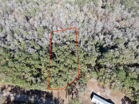 Vacant NE Indigo Street, Lee, FL 32059