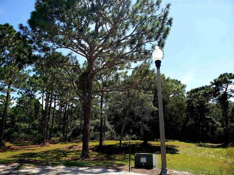 123 Plover Ct, Carrabelle, FL 32322