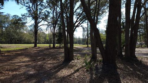 3524 Doe St, Perry, FL 32348 photo 8