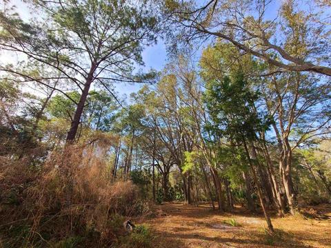 3524 Doe St, Perry, FL 32348 photo 16