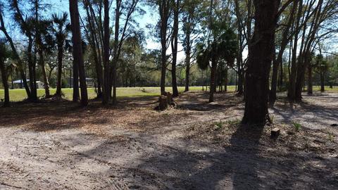 3524 Doe St, Perry, FL 32348 photo 6