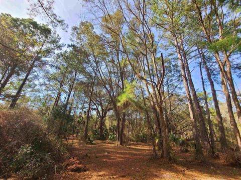 3524 Doe St, Perry, FL 32348 photo 15