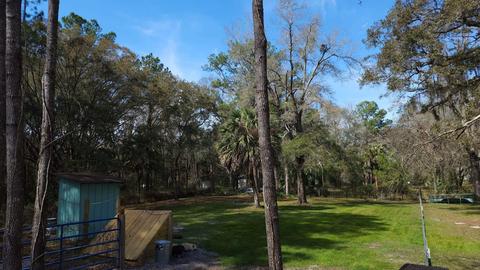 11509 Spring Warrior Rd, Perry, FL 32348 photo 32