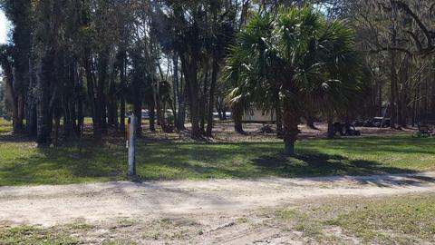 11509 Spring Warrior Rd, Perry, FL 32348 photo 35