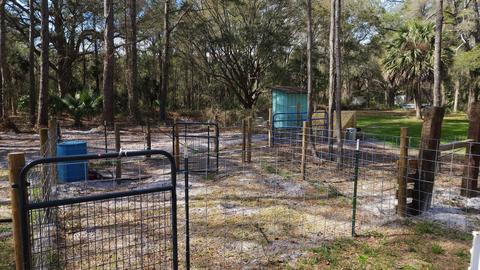 11509 Spring Warrior Rd, Perry, FL 32348 photo 30