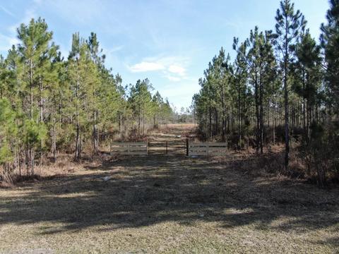 Vacant SW Promenade, Greenville, FL 32331