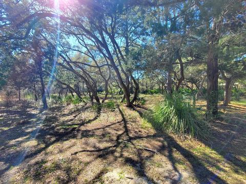 Nnn Surf Road, Panacea, FL 32346