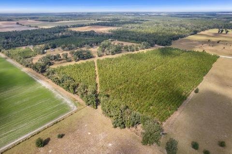 Vacant NE Juniper Drive, Lee, FL 32059 photo 7