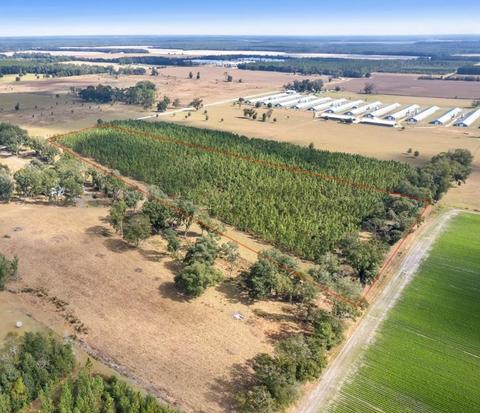 Vacant NE Juniper Drive, Lee, FL 32059 photo 5