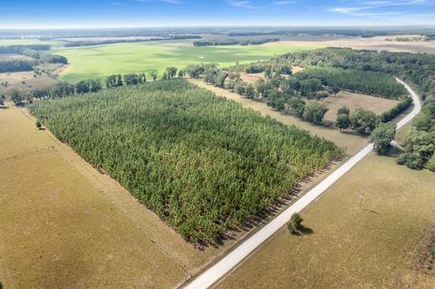 Vacant NE Juniper Drive, Lee, FL 32059 photo 4