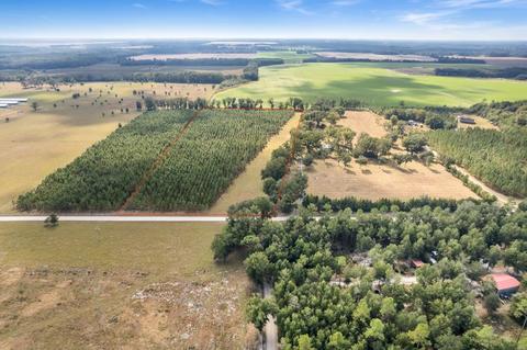 Vacant NE Juniper Drive, Lee, FL 32059