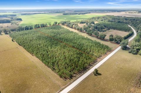 Vacant NE Juniper Drive, Lee, FL 32059 photo 3