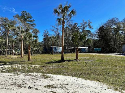 415 NW Fourth St, Steinhatchee, FL 32359 photo 10