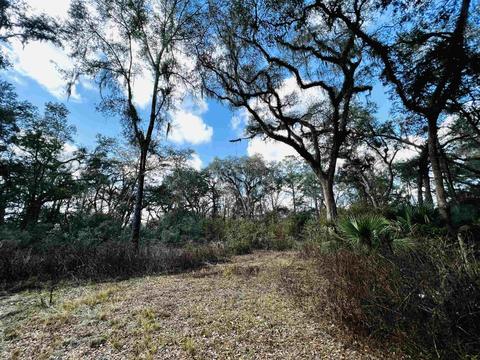 2401 Dean Rd, Perry, FL 32348 photo 3