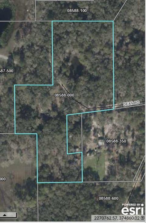 2401 Dean Rd, Perry, FL 32348 photo 8