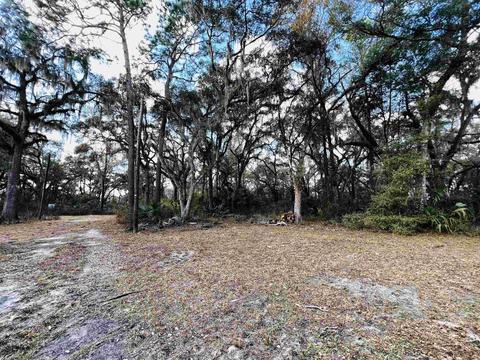 2401 Dean Rd, Perry, FL 32348 photo 1