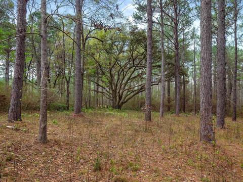 5524 Dansby Pl, Tallahassee, FL 32311