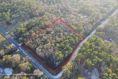 00 Paul Poppell Rd, Perry, FL 32347