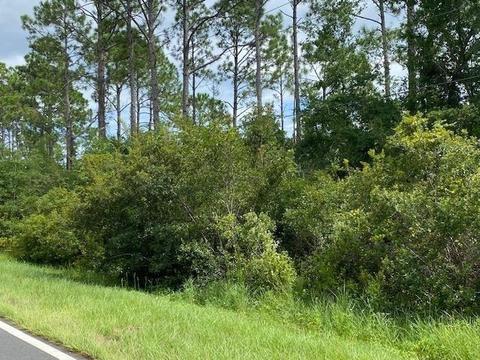 124 Timber Island Rd, Carrabelle, FL 32322