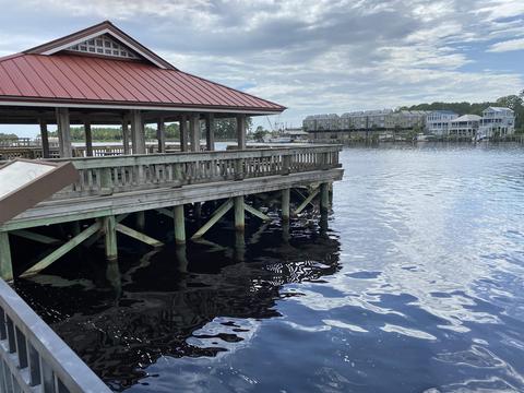 121 Timber Ln, Carrabelle, FL 32322 photo 5