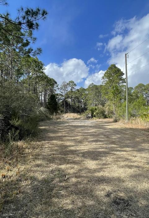 121 Timber Ln, Carrabelle, FL 32322 photo 2