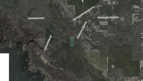 0 Strickland Bridge Rd, Perry, FL 32348 photo 11
