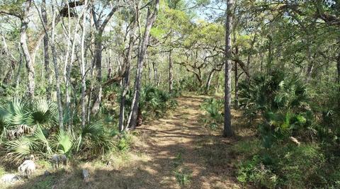 0 Strickland Bridge Rd, Perry, FL 32348 photo 9