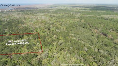 0 Strickland Bridge Rd, Perry, FL 32348 photo 5