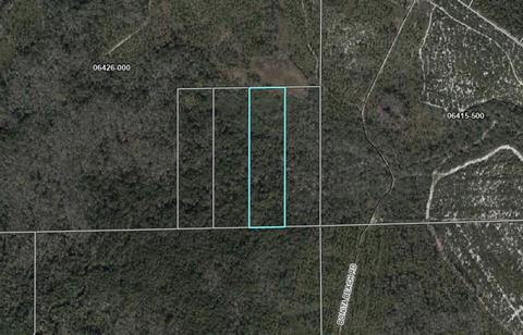 0 Strickland Bridge Rd, Perry, FL 32348 photo 12