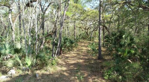 0 Strickland Bridge Rd, Perry, FL 32348 photo 2