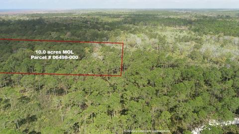 0 Strickland Bridge Rd, Perry, FL 32348
